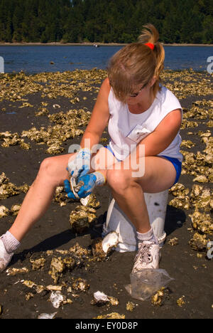 Oystering, Duckabush Wildlife Area, Washington Stockfoto