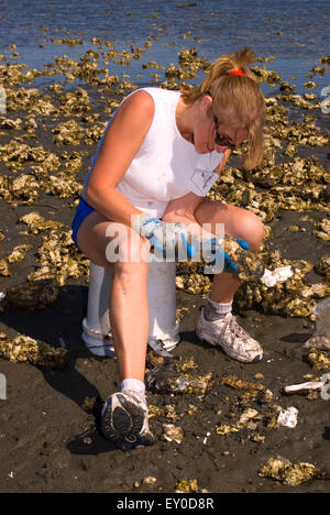 Oystering, Duckabush Wildlife Area, Washington Stockfoto