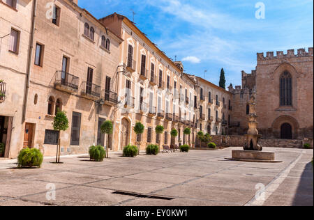 Blick auf das Kloster Santa Maria de Santes Creus, Katalonien Stockfoto