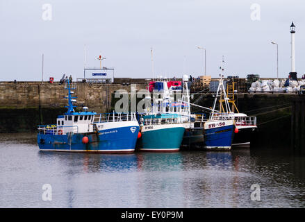 Angelboote/Fischerboote vertäut im Hafen von Bridlington, East Riding of Yorkshire, England, UK Stockfoto