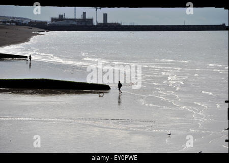 Brighton, UK. 19. Juli 2015. Eine Dogwalker genießt das schöne Wetter bei Ebbe am frühen Morgen am Strand von Brighton Credit: Simon Dack/Alamy Live News Stockfoto