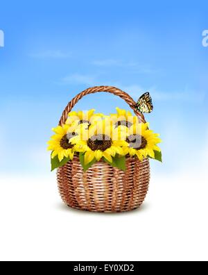 Frühling Hintergrund. Korb voll mit Sonnenblumen und ein Schmetterling. Vektor. Stock Vektor