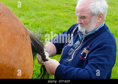 Trotz der jüngsten Unwetter und Starkregen in der Nähe viele Konkurrenten aus ganz Schottland stellte sich heraus, zu unterstützen und konkurrieren in der jährlichen Heavy Horse Show in das Museum of Country Life, East Kilbride, Glasgow, Schottland. Stockfoto