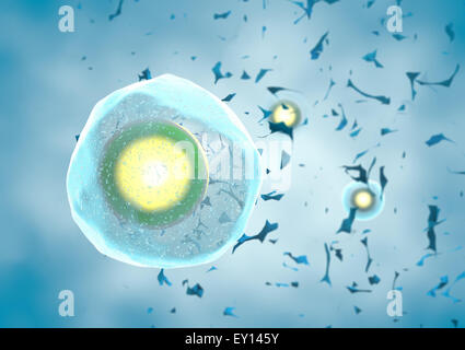 3D einzigen menschlichen Eizelle auf blauem Hintergrund Stockfoto