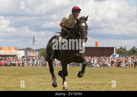 Pferd und Reiter aus dem Haushalt Kalvarienberg Trab aus der arena Stockfoto