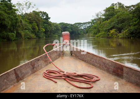 Richtung Grenze zu Costa Rica, Los Chiles durch Frío River, Nicaragua Stockfoto