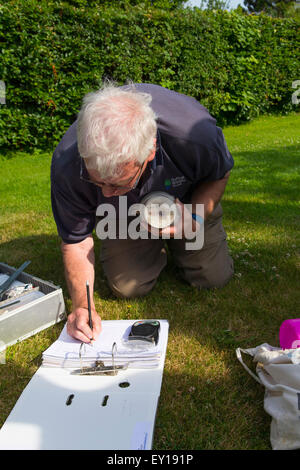 Ein Mann sammelt Informationen über eine Schleiereule Küken. Hier wurde es in einen Topf zum Wiegen gelegt Stockfoto