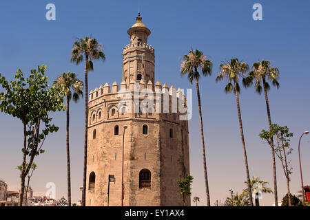 Turm (Torre de Oro) Gold in Sevilla am Guadalquivir Stockfoto