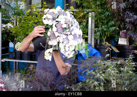 Ein Verkäufer hält einen Topf mit Blumen in Columbia Road market Stockfoto