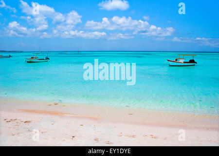 Fischerboote am Strand von Aruba Stockfoto