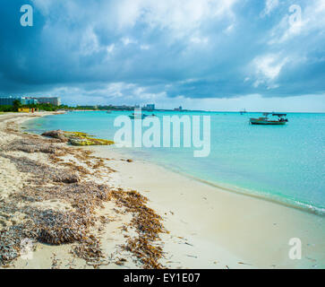 Fischerboote am Strand von Aruba Stockfoto