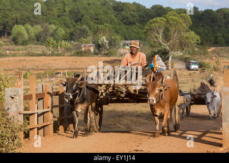 Rancher auf Ochsenkarren in Shan Hills, Myanmar Stockfoto