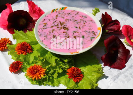 Rosa frische kalte Suppe aus jungen Zuckerrüben in Platte auf grünen Blättern von Salat und Blumen Stockfoto