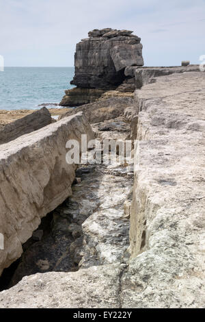 Preikestolen stehen stolz bei Portland Bill auf der Isle of Portland Stockfoto