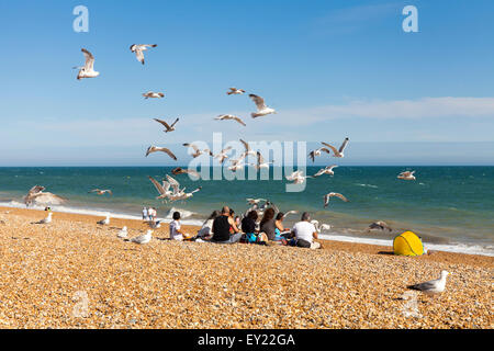 Hastings, UK. 19. Juli 2015. Eine Herde von Möwen sind bestrebt, ihren Anteil von Lebensmitteln aus einer Familie, die ihr Picknick im schönen Nachmittag Sonnenschein am Strand von Hastings zu genießen Stockfoto