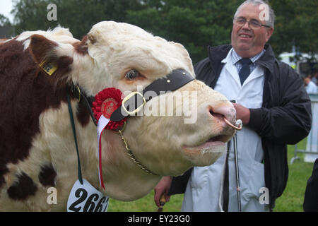 Royal Welsh Show, Builth Wells, Powys, UK Juli 2015. Ein Hereford Stier mit einem ersten Preis Rosette mit seinem Besitzer Landwirt im Bereich Display. Die Veranstaltung zieht mehr als 7.500 Vieh Einträge. Stockfoto