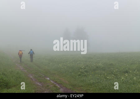 Wanderer im Nebel Wiese Stockfoto