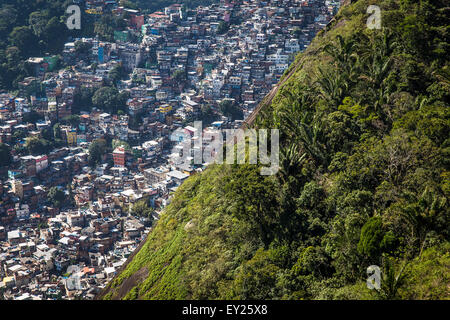 Luftaufnahme von Bäumen und überfüllten Favela, Rio De Janeiro, Brasilien Stockfoto
