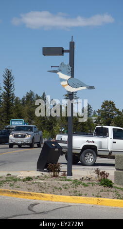 Vögel in der Stadt Invermere British Columbia Kanada Stockfoto