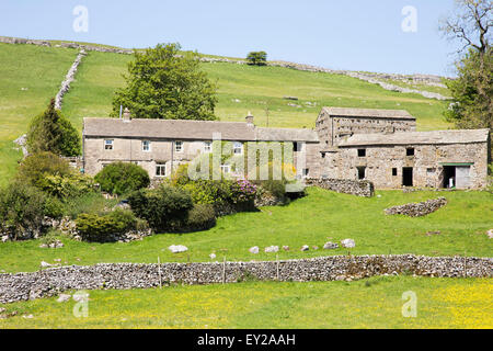 Traditionelle Stein Dales Bauernhaus in Wharfdale, Yorkshire Dales National Park, North Yorkshire, England, UK Stockfoto