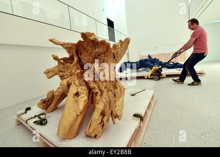 Kassel, Deutschland. 20. Juli 2015. Ein Mitarbeiter holt farbige Wurzeln zu ihrem Bestimmungsort im neuen "Grimm-Welt"-Museum (lit.) Grimm-Welt) in Kassel, Deutschland, 20. Juli 2015. Chinesische Künstler Ai Weiwei schuf das Kunstwerk mit dem Titel "Coloured Wurzeln 2009-2015" bestehend aus fünf dieser Wurzeln speziell für die Grimm-Welt. AI hatte angekündigt, das Artwork für das Museum voraussichtlich im September 2015, während einer Preisverleihung in Kassel im Jahr 2010 eröffnet. Foto: UWE ZUCCHI/Dpa/Alamy Live News Stockfoto