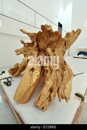 Kassel, Deutschland. 20. Juli 2015. Eine farbige Wurzel wird auf dem Display im neuen "Grimm-Welt"-Museum (lit.) Grimm-Welt) in Kassel, Deutschland, 20. Juli 2015. Chinesische Künstler Ai Weiwei schuf das Kunstwerk mit dem Titel "Coloured Wurzeln 2009-2015" bestehend aus fünf dieser Wurzeln speziell für die Grimm-Welt. AI hatte angekündigt, das Artwork für das Museum voraussichtlich im September 2015, während einer Preisverleihung in Kassel im Jahr 2010 eröffnet. Foto: UWE ZUCCHI/Dpa/Alamy Live News Stockfoto