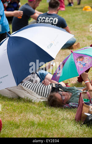 Llanelwedd, Powys, UK. 20. Juli 2015. Nach einem feuchten Start kommt die Sonne heraus, am ersten Tag der Show. Die Royal Welsh Show wird als der größte & renommiertesten Veranstaltung ihrer Art in Europa gefeiert. Mehr als 200.000 Besucher erwartet diese Woche über die viertägige Show Zeitraum - 2014 sahen 237.694 Besucher, 1.033 Alpakas & ein Datensatz 7.959 Vieh Aussteller. Die erste show jemals war bei Aberystwyth in 1904 und zog 442 Vieh Einträge. Bildnachweis: Graham M. Lawrence/Alamy Live-Nachrichten. Stockfoto