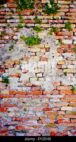 Verfall Ziegelmauer und Werk in Burano, Venedig, Italien Stockfoto