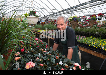 Ein Mann steht in einem Gewächshaus mit Regalen der Pflanzen. Stockfoto