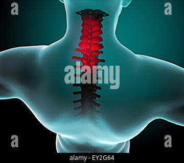 Menschlichen Körper mit Röntgen-Blick auf die Wirbelsäule von hinten gesehen Stockfoto