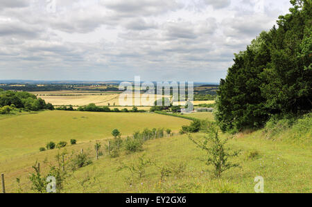 Eine englische ländlichen Landschaft mit Track durch eine Wildblumenwiese in den Chiltern Hills in South Oxfordshire Stockfoto