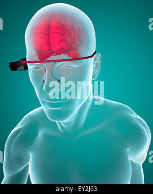 3D-Brille interaktive Gehirn-Anatomie Stockfoto