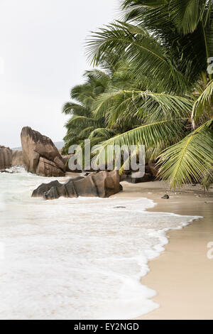 Schöner Strand Anse Patates, La Digue, Seychellen mit Granitfelsen und Palmen an einem bewölkten Tag Stockfoto