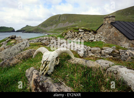 Ab Schafe Schädel liegt an einer Wand in The Street. Dorf-Bucht mit der Insel Dun im Hintergrund. Stockfoto