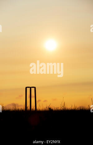 Cricket Stümpfe Silhouette vor einem Sonnenuntergang Hintergrund. Stockfoto