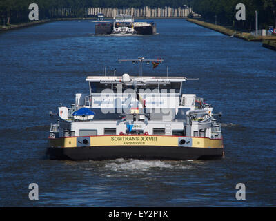 Das Containerschiff „Somtrans XXVIII“ mit der ENI-Nummer 02334948 fährt auf dem Amsterdam-Rijn-Kanal und transportiert Güter einschließlich Öl und Chemikalien in einem modernen Logistikbetrieb. Stockfoto