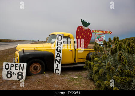 Zeichen und gelben Truck für Swanton Berry Farm, Davenport, California, Vereinigte Staaten von Amerika Stockfoto