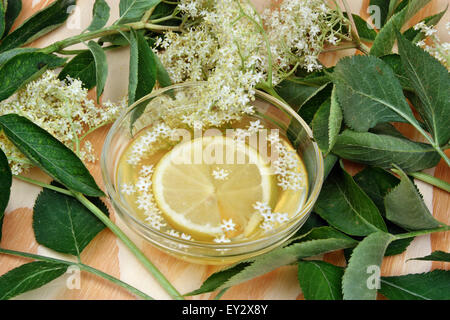 Holunder-Limonade mit frischer Zitrone und Holunder Blüte Stockfoto