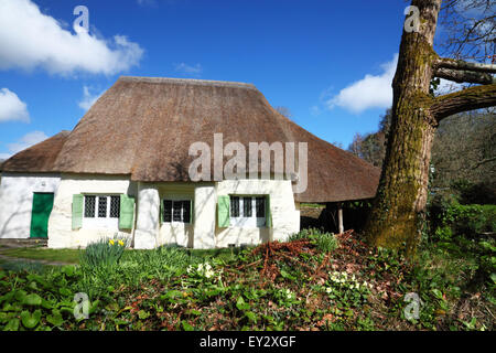 Eine strohgedeckte Scheune wie Gebäude mit Fensterläden. Stockfoto