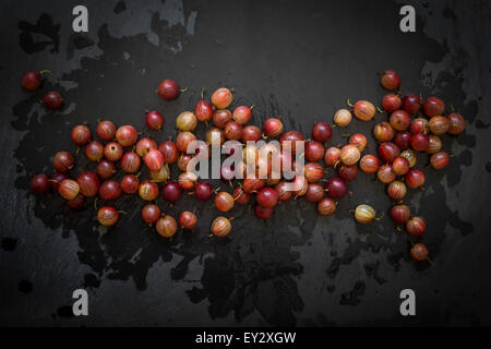 Stachelbeeren auf nassem Schiefer Hintergrund. Ansicht von oben Stockfoto