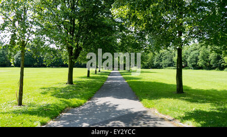 Bäumen gesäumten Weg in öffentlichen park Stockfoto