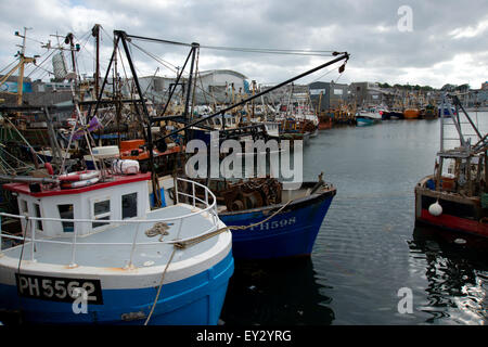 Kommerzielle Fischerei Schiffe ankern in Sutton Harbour Plymouth am Fischmarkt, Stockfoto