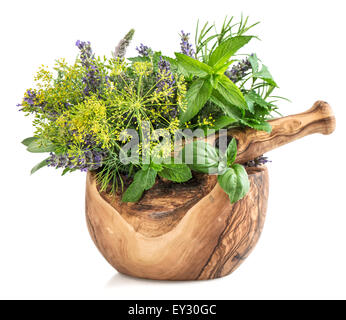 Frische Kräuter und Gewürze-Minze, Basilikum, Dill, Rosmarin, Salbei, Lavendel. Gesunde Lebensmittelzutaten im Mörser auf weißem Hintergrund Stockfoto