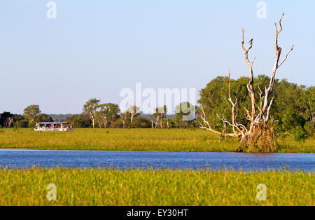 Touristenboot Cruisen am gelben Wasser Billabong Stockfoto