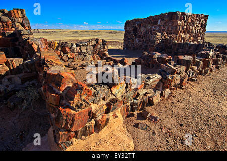 Versteinerte Forest National Park, Arizona, USA Stockfoto