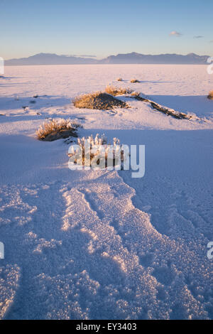 Das Salz schmilzt den Schnee zuerst auf den Flats bei Sonnenuntergang Stockfoto