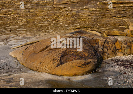 Schichten des sedimentären Sandstein, die Anpassung an die Form eines härter Basis Felsen auf Protection Island, British Columbia, Kanada Stockfoto