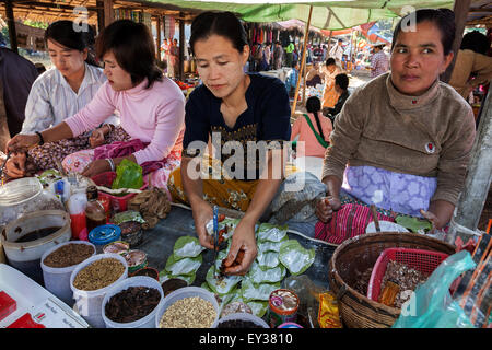 Einheimische Frauen verkaufen Betelnüsse, landen Markt in Maing Thauk, Inle-See, Shan State in Myanmar Stockfoto