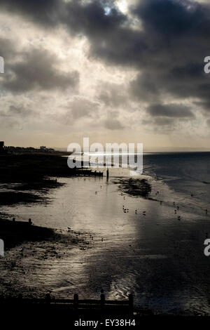 Worthing, UK. 21. Juli 2015.  Ein ruhiger Morgen mit Gewitterwolken hängen in der Luft mit der Sonne zu durchbrechen. Guls am Strand und Shoreham Kraftwerk ist Hilighted von der Sonne in der Ferne. © Julie Edwards/Alamy Live-Nachrichten Stockfoto