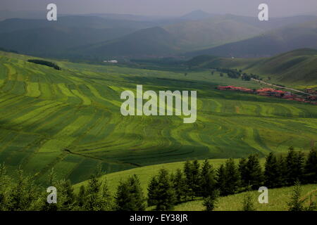 Shijiazhuang. 20. Juli 2015. Foto aufgenommen am 20. Juli 2015 zeigt die Landschaft der Terrasse in Zhangjiakou, Nordchinas Provinz Hebei. Viele Touristen kamen in Bashang Grasland, im Sommer das kühle Wetter und die Landschaft genießen. © Yang Shiyao/Xinhua/Alamy Live-Nachrichten Stockfoto